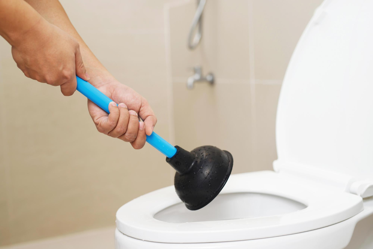 8 Steps to Plunging the Toilet Correctly