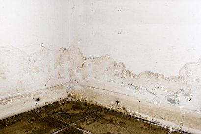 homeblog-image